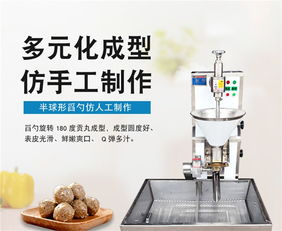 惠輝機械肉丸成型機價格解析與家用視聽設備選購指南